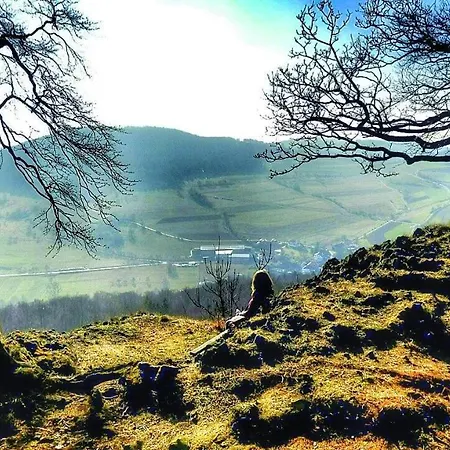 Apartament Am Felsenkeller Lahrbach