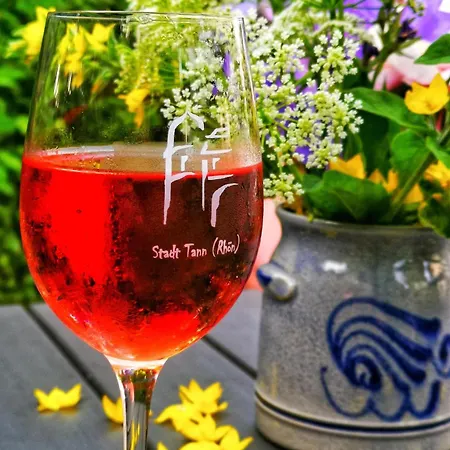 Apartament Am Felsenkeller *