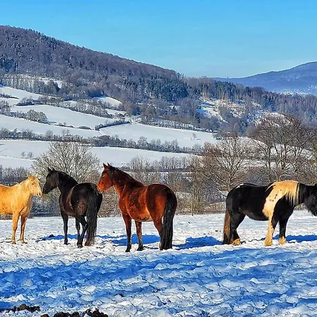Am Felsenkeller Lahrbach