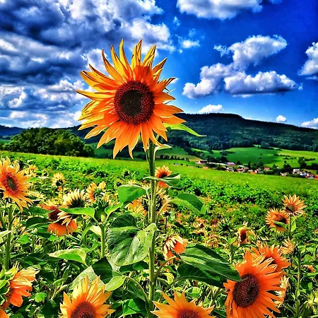 Am Felsenkeller Lahrbach