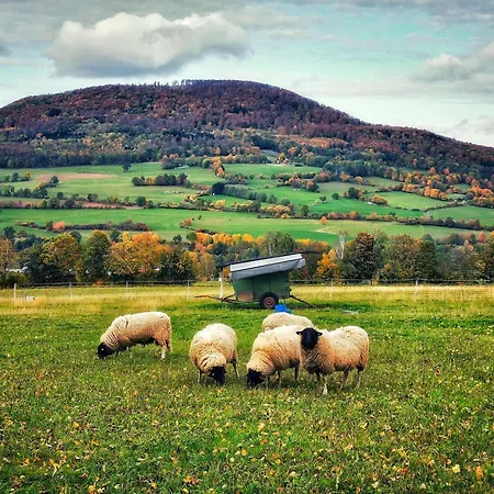 Apartament Am Felsenkeller