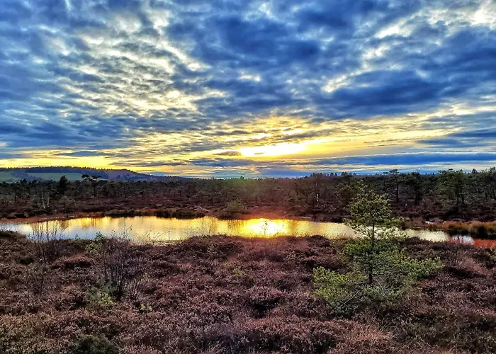 Am Felsenkeller Lahrbach