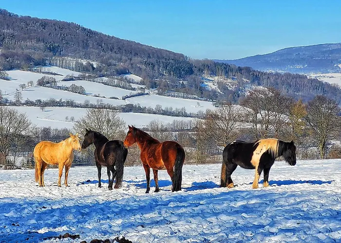 Am Felsenkeller Lahrbach