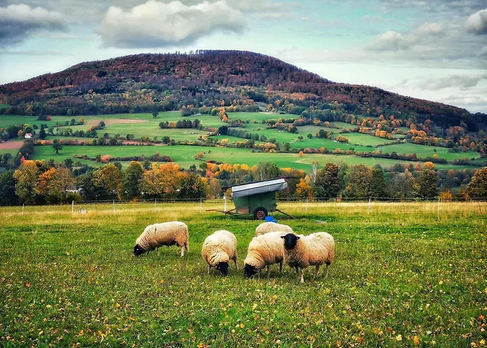 Appartamento Am Felsenkeller